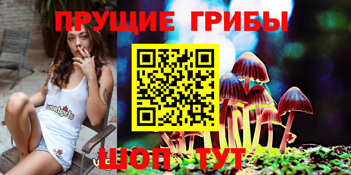 Галлюциногенные грибы GOLDEN TEACHER  цена   Отрадное  Вход с VPN 